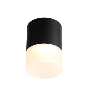 ST100.402.15 Светильник потолочный Черный LED 1*15W 3000K 1 170Lm Ra>80 120° D118xH150 170-240VV OTTU-foto2