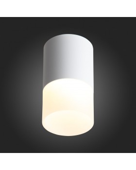 ST100.542.10 Светильник потолочный Белый LED 1*10W 4000K 780Lm Ra>80 120° D78xH135 170-240V OTTU-foto6
