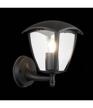 SL081.401.01 Светильник уличный настенный ST-Luce Черный/Черный, Прозрачный E27 1*40W SIVINO-foto4