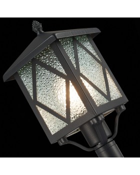 SL084.415.01 Светильник уличный наземный ST-Luce Черный/Черный, Прозрачный E27 1*60W LORNE-foto6