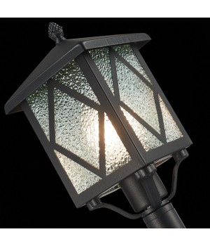 SL084.415.01 Светильник уличный наземный ST-Luce Черный/Черный, Прозрачный E27 1*60W LORNE-foto6