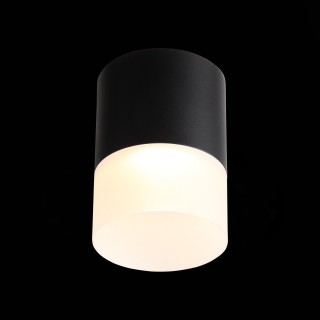 ST100.402.15 Светильник потолочный Черный LED 1*15W 3000K 1 170Lm Ra>80 120° D118xH150 170-240VV OTTU-foto4