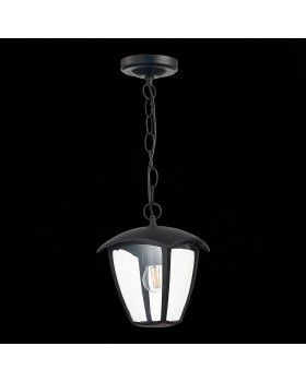 SL081.403.01 Светильник уличный подвесной ST-Luce Черный/Черный, Прозрачный E27 1*40W SIVINO-foto5