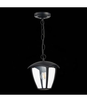 SL081.403.01 Светильник уличный подвесной ST-Luce Черный/Черный, Прозрачный E27 1*40W SIVINO-foto5