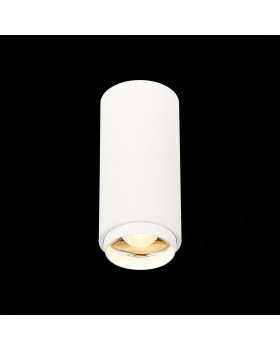 ST600.532.10 Светильник потолочный Zoom Белый LED 1*10W 3000K 1 000Lm Ra>80 15-60° IP20 D59xH130 170-240VV ZOOM-foto3