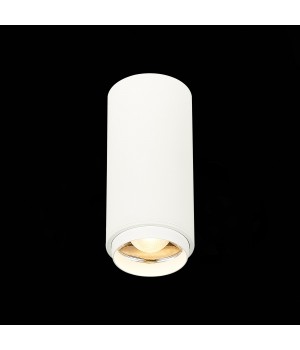 ST600.532.10 Светильник потолочный Zoom Белый LED 1*10W 3000K 1 000Lm Ra>80 15-60° IP20 D59xH130 170-240VV ZOOM-foto3
