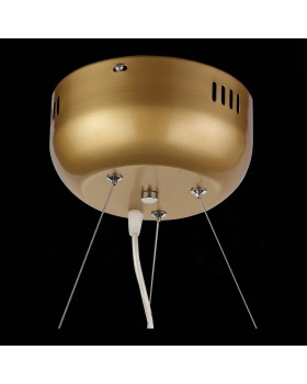 SL411.233.45 Люстра подвесная ST-Luce Золотистый/Прозрачный G4 45*1,5W RICCARDO-foto7