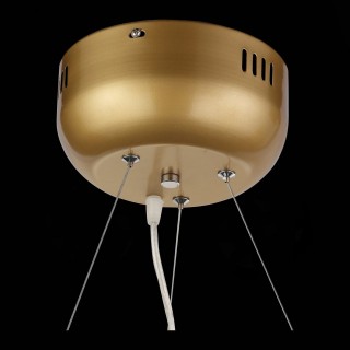 SL411.233.45 Люстра подвесная ST-Luce Золотистый/Прозрачный G4 45*1,5W RICCARDO-foto7