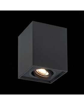 ST109.407.01 Светильник потолочный Мат. черный GU10 1*50W L100xW100xH123 220V Без ламп QUADRUS-foto3