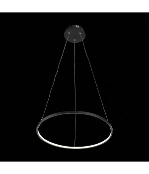 SL904.403.01 Светильник подвесной ST-Luce Черный/Белый LED 1*12W 4000K ERTO-foto5