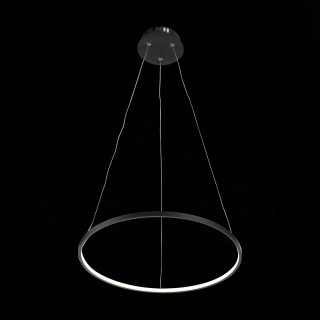 SL904.403.01 Светильник подвесной ST-Luce Черный/Белый LED 1*12W 4000K ERTO-foto5