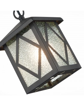 SL084.403.01 Светильник уличный подвесной ST-Luce Черный/Черный, Прозрачный E27 1*60W LORNE-foto3