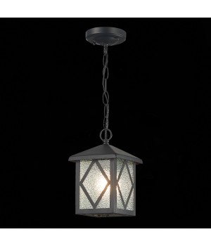 SL084.403.01 Светильник уличный подвесной ST-Luce Черный/Черный, Прозрачный E27 1*60W LORNE-foto4