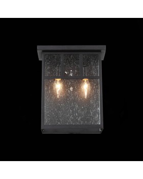 SL079.401.02 Светильник уличный настенный ST-Luce Темный кофе/Прозрачное кракелированное стекло E14 2*60W GLAZGO-foto3