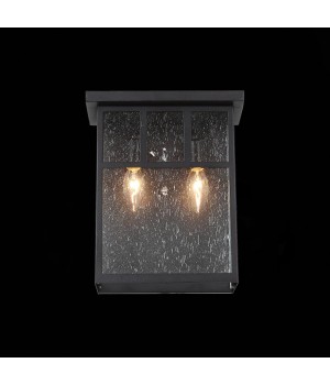 SL079.401.02 Светильник уличный настенный ST-Luce Темный кофе/Прозрачное кракелированное стекло E14 2*60W GLAZGO-foto3