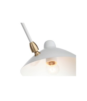 SL305.502.06 Люстра потолочная ST-Luce Белый/Белый E27 5*60W SPRUZZO-foto16