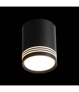 ST101.442.12 Светильник потолочный Черный LED 1*12W 4000K 936Lm Ra>80 120° IP20 D79xH100 170-240V CERIONE-foto4