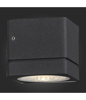 SL563.401.01 Светильник уличный настенный ST-Luce Черный/Прозрачный LED 1*8W 3000K COCTOBUS-foto7
