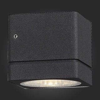 SL563.401.01 Светильник уличный настенный ST-Luce Черный/Прозрачный LED 1*8W 3000K COCTOBUS-foto7