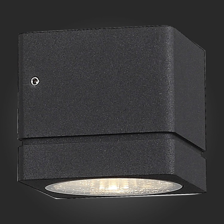 SL563.401.01 Светильник уличный настенный ST-Luce Черный/Прозрачный LED 1*8W 3000K COCTOBUS