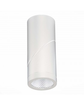 ST650.542.10 Светильник потолочный Белый LED 1*10W 4000K 800Lm Ra>90 38° IP44 D60xH175 165-265V ST650-foto4