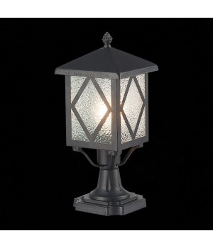 SL084.405.01 Светильник уличный наземный ST-Luce Черный/Черный, Прозрачный E27 1*60W LORNE-foto4