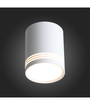 ST101.542.12 Светильник потолочный Белый LED 1*12W 4000K 936Lm Ra>80 120° IP20 D79xH100 170-240V CERIONE-foto6