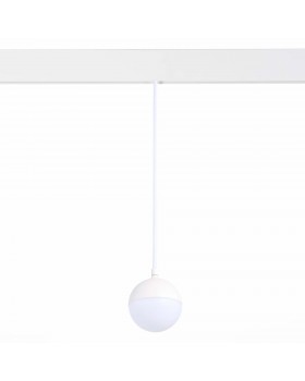 ST358.533.07 Магнитный трековый светильник подвесной белый LED 1*7W 3000K 520Lm Ra>80 120° IP20 D90xH90 48V PIBOLE-foto2