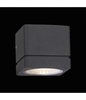 SL563.401.01 Светильник уличный настенный ST-Luce Черный/Прозрачный LED 1*8W 3000K COCTOBUS-foto6