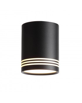 ST101.402.12 Светильник потолочный Черный LED 1*12W 3000K 936Lm Ra>80 120° IP20 D79xH100 170-240V CERIONE