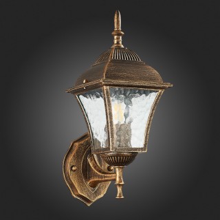 SL082.201.01 Светильник уличный настенный ST-Luce Бронза/Бронза, Прозрачный E27 1*60W DOMENICO-foto8