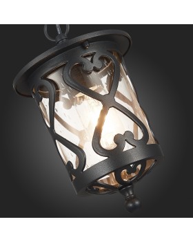 SL085.403.01 Светильник уличный подвесной ST-Luce Черный/Черный, Прозрачный E27 1*60W LORNE-foto9