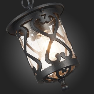 SL085.403.01 Светильник уличный подвесной ST-Luce Черный/Черный, Прозрачный E27 1*60W LORNE-foto9