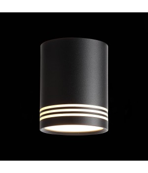 ST101.402.12 Светильник потолочный Черный LED 1*12W 3000K 936Lm Ra>80 120° IP20 D79xH100 170-240V CERIONE-foto3