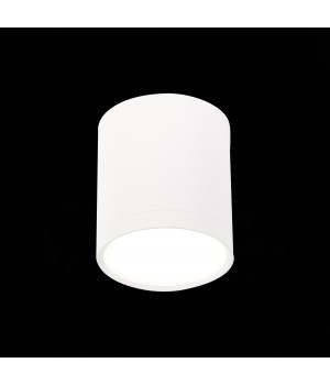 ST113.542.05 Светильник потолочный Белый LED 1*5W 4000K 390Lm Ra>80 120° IP20 D68xH75 170-240V RENE-foto3