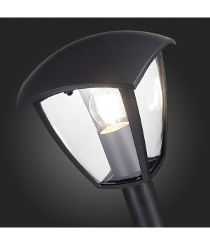 SL081.405.01 Светильник уличный наземный ST-Luce Черный/Черный, Прозрачный E27 1*40W SIVINO-foto9