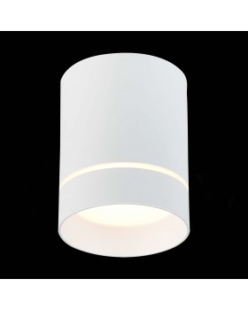ST115.532.12 Светильник потолочный Белый LED 1*12W 3000K 840Lm Ra>90 120° IP20 D79xH100 170-240V ST115-foto3