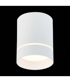 ST115.532.12 Светильник потолочный Белый LED 1*12W 3000K 840Lm Ra>90 120° IP20 D79xH100 170-240V ST115-foto3