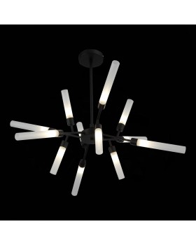 SL1620.402.12 Люстра потолочная ST-Luce Черный/Белый G9 12*5W SPLIO-foto8