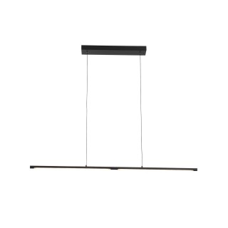 SL1580.403.01 Светильник подвесной ST-Luce Черный/Белый LED 1*22W 3200K RALIO-foto3