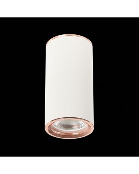 ST111.527.01 Светильник потолочный Белый GU10 1*50W D54xH105 220V Без ламп CHOMUS-foto4