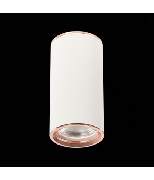 ST111.527.01 Светильник потолочный Белый GU10 1*50W D54xH105 220V Без ламп CHOMUS-foto4