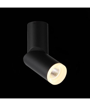 ST107.402.10 Светильник потолочный Черный LED 1*10W 3000K 780Lm Ra>80 24 D50xH168 170-240V TORTELLE-foto4