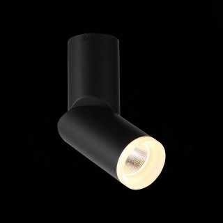 ST107.402.10 Светильник потолочный Черный LED 1*10W 3000K 780Lm Ra>80 24 D50xH168 170-240V TORTELLE-foto4