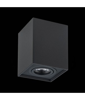 ST109.407.01 Светильник потолочный Мат. черный GU10 1*50W L100xW100xH123 220V Без ламп QUADRUS-foto4