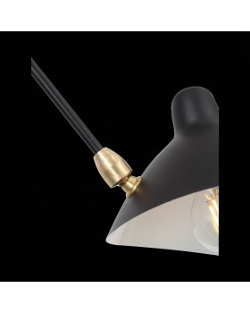 SL305.402.06 Люстра потолочная ST-Luce Черный/Черный, Белый E27 6*60W SPRUZZO-foto25