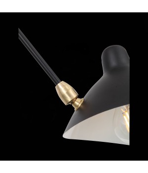 SL305.402.06 Люстра потолочная ST-Luce Черный/Черный, Белый E27 6*60W SPRUZZO-foto25