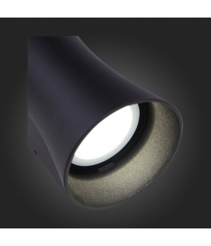 SL088.401.02 Светильник уличный настенный ST-Luce Черный кварцевый LED 2*5W 4000K DEALE-foto3