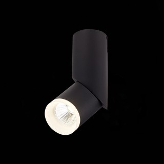 ST107.442.10 Светильник потолочный Черный LED 1*10W 4000K 780Lm Ra>80 D50xH168 170-240V TORTELLE-foto4