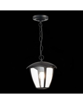 SL081.403.01 Светильник уличный подвесной ST-Luce Черный/Черный, Прозрачный E27 1*40W SIVINO-foto4